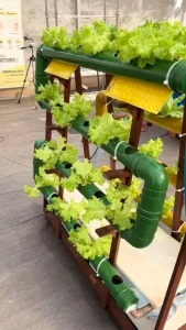 15552d104900d4bbd8018357304a149f