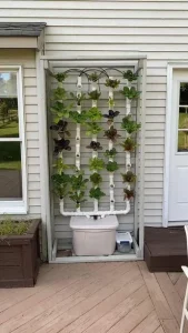 35b9368588e2eb3d2ae14933d9c483ca