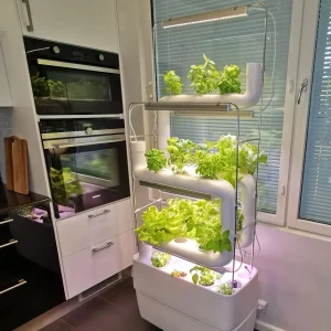 be33c6c8abdaece8a4ca91e69932de7a